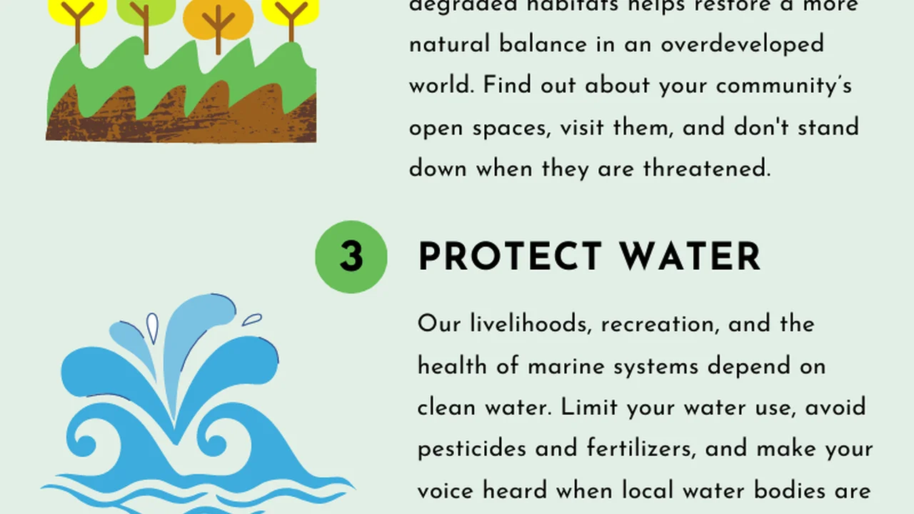 Easy, Two-Ingredient Pulled Pork